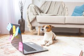 後回しにしたタスクの優先度は？「時間管理のマトリックス」で考えてみた